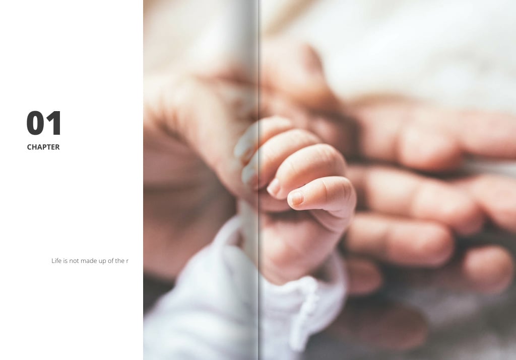 Modern Baby Diary