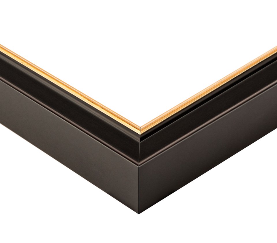 holzrahmen-academie-schwarz-gold