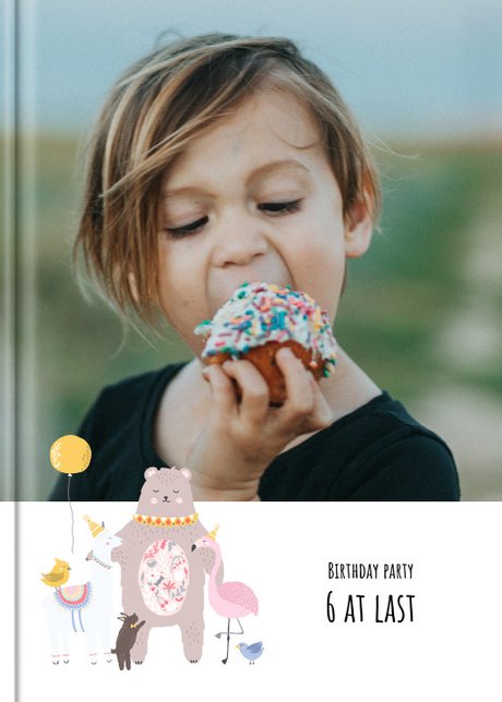 Photo book Amazing birthday