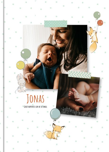 Photo book Baby´s Diary