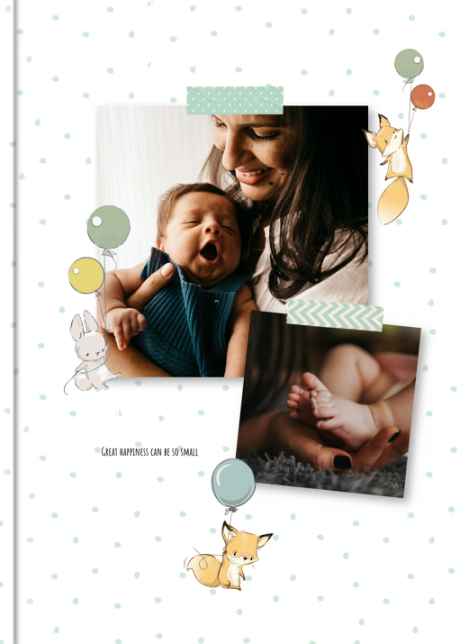 Photo book Baby´s Diary