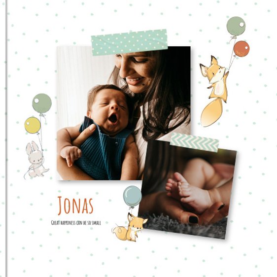 Photo book Baby´s Diary