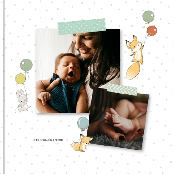 Photo book Baby´s Diary