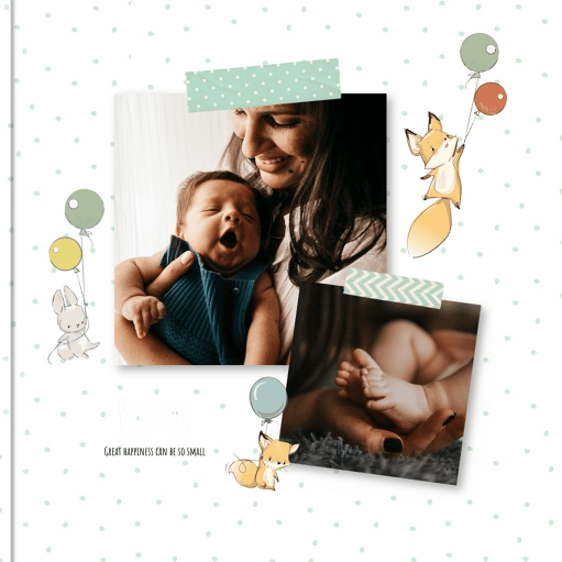 Photo book Baby´s Diary