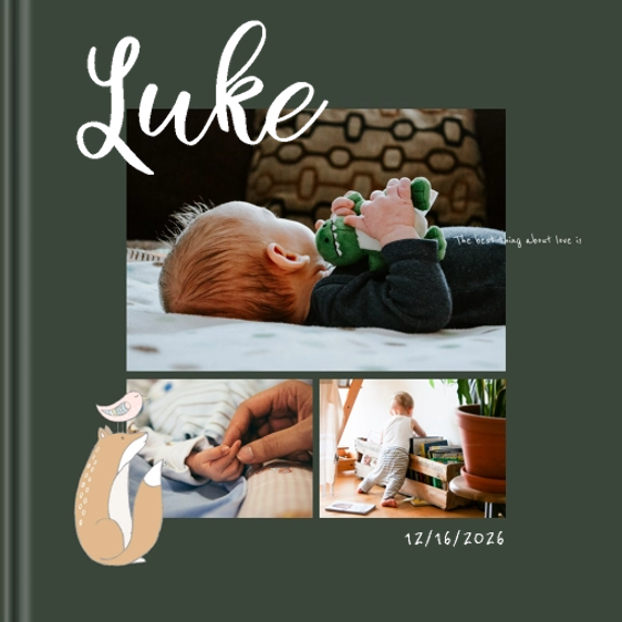 Photo book Forest Animals