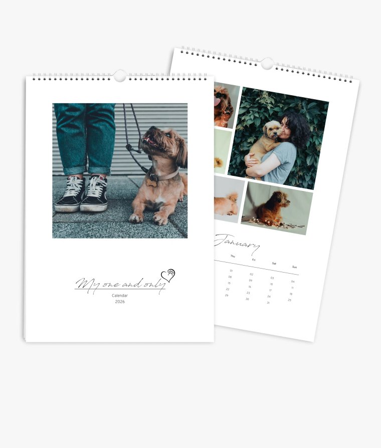 Wall calendar 4 paws