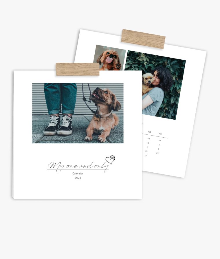 Wall calendar 4 paws