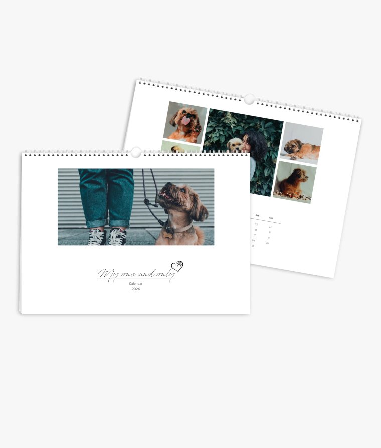 Wall calendar 4 paws
