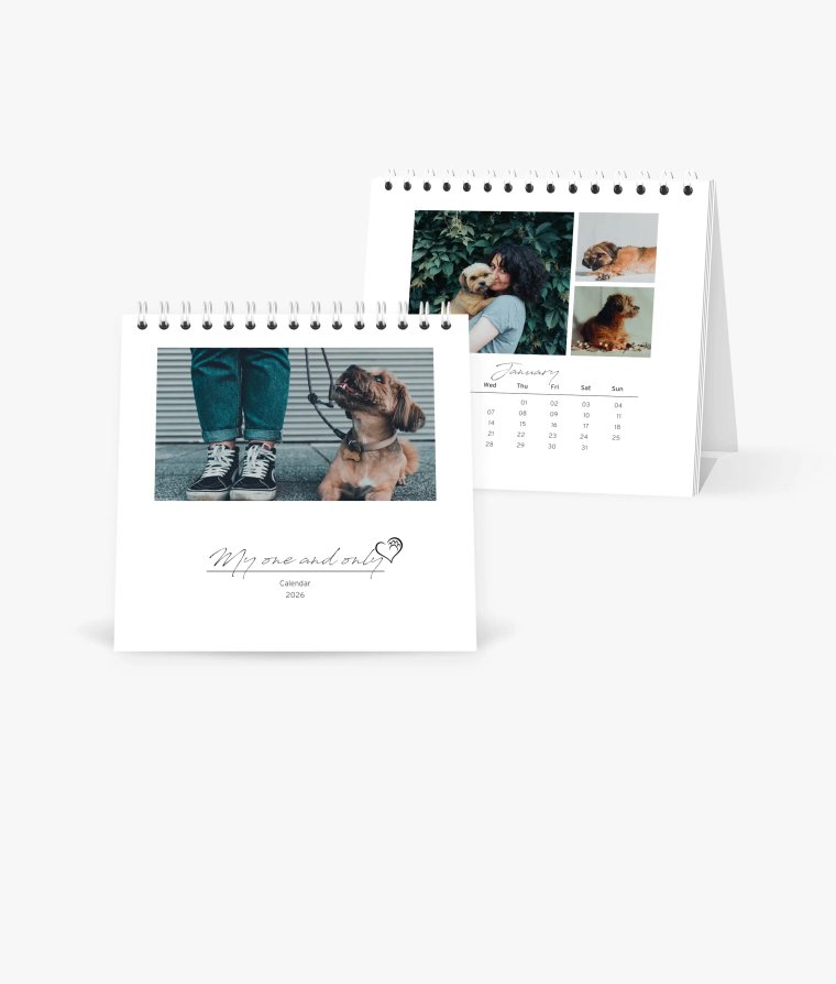 Desk calendar 4 paws