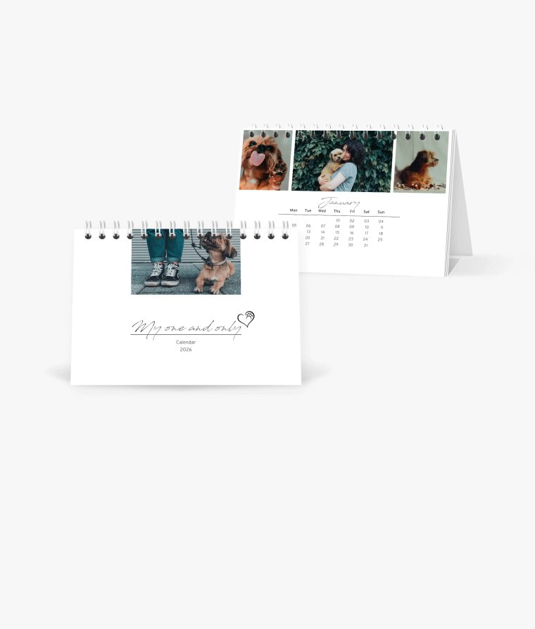 Desk calendar 4 paws