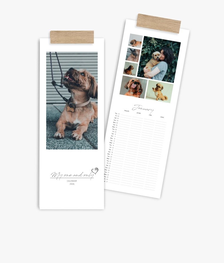 Family planner 4 paws
