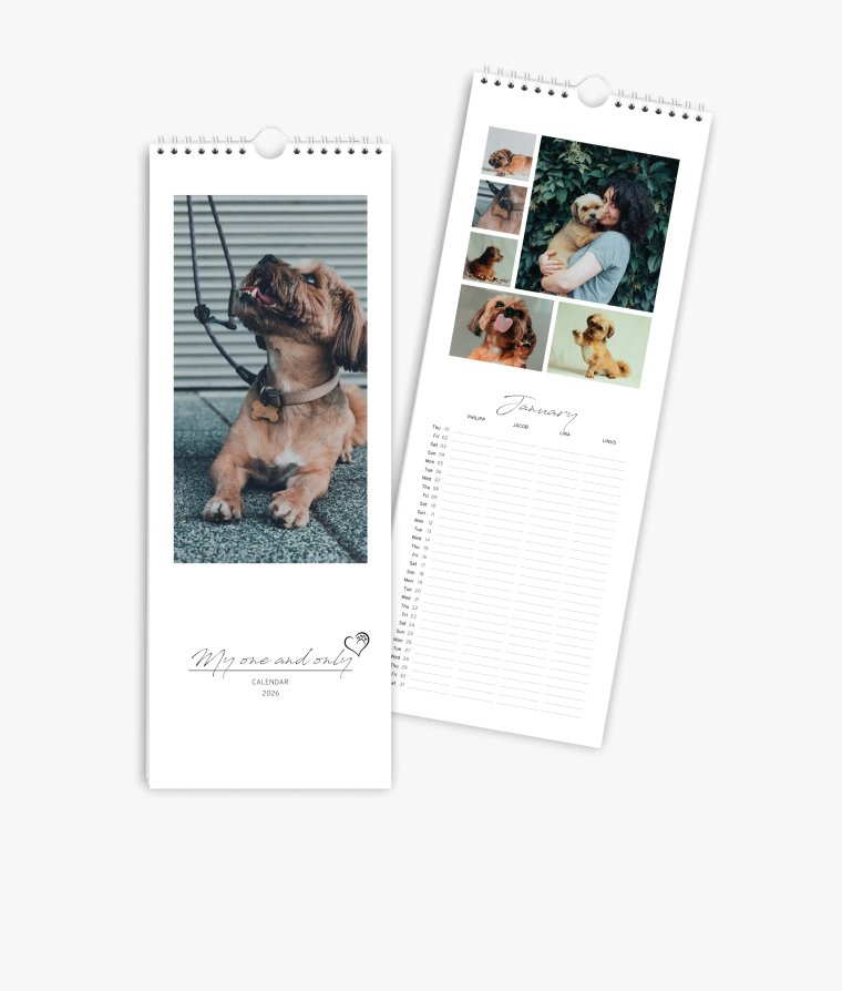 Family planner 4 paws