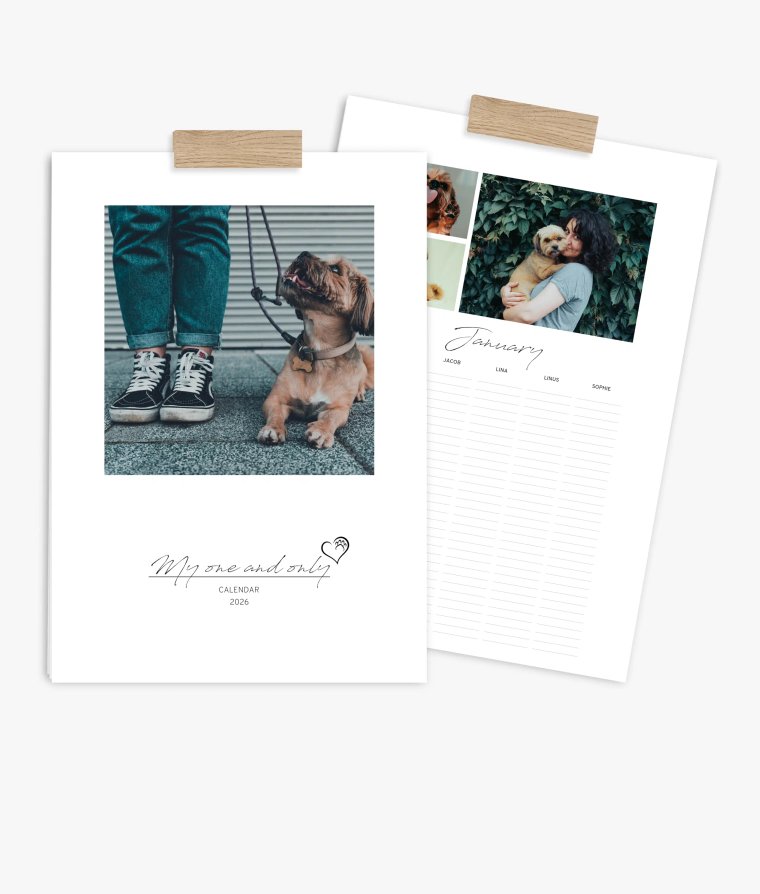 Family planner 4 paws