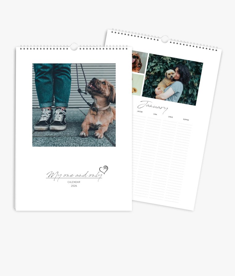 Family planner 4 paws
