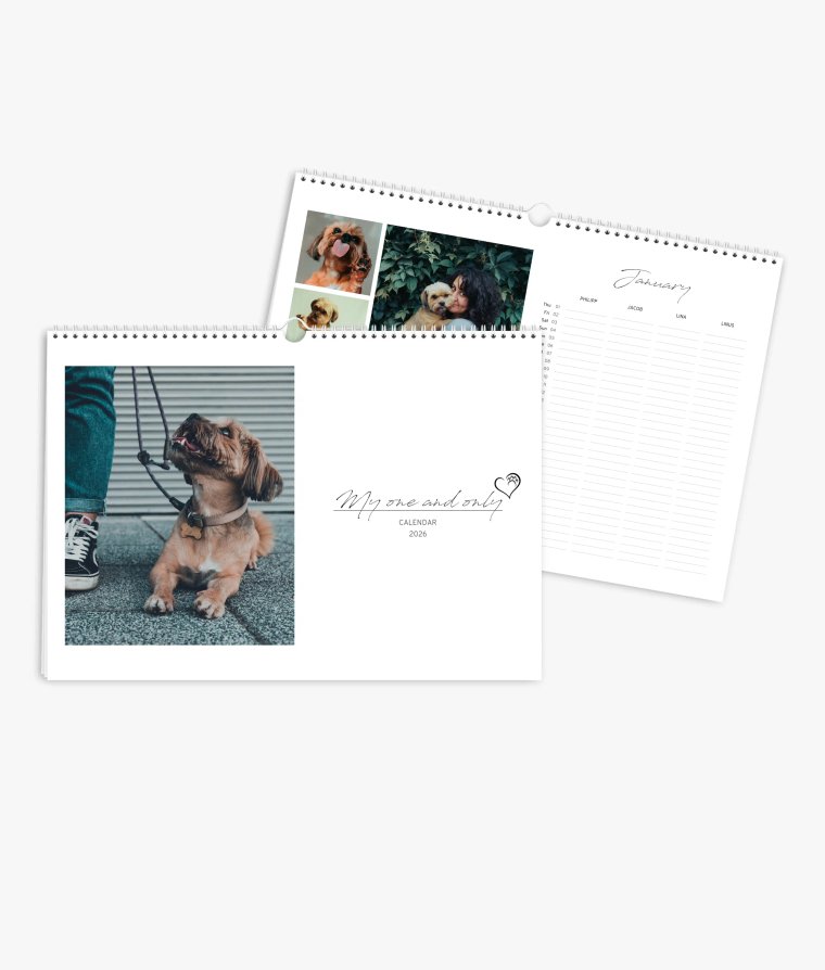 Family planner 4 paws