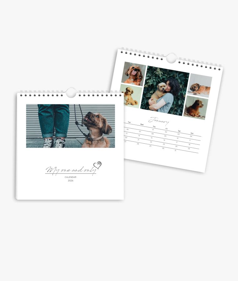 Appointment calendar 4 paws