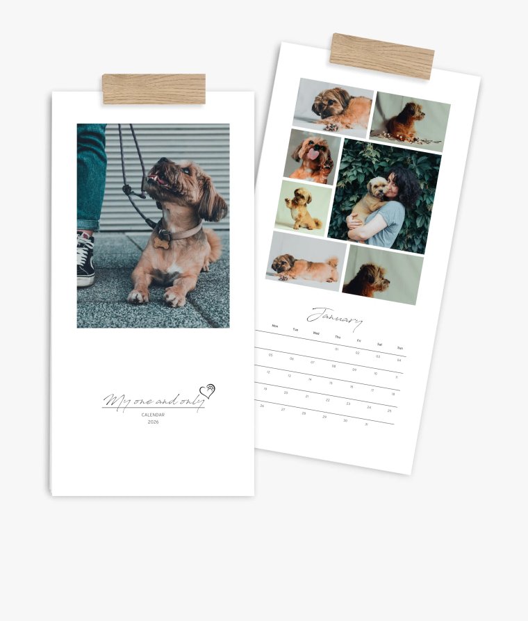 Appointment calendar 4 paws