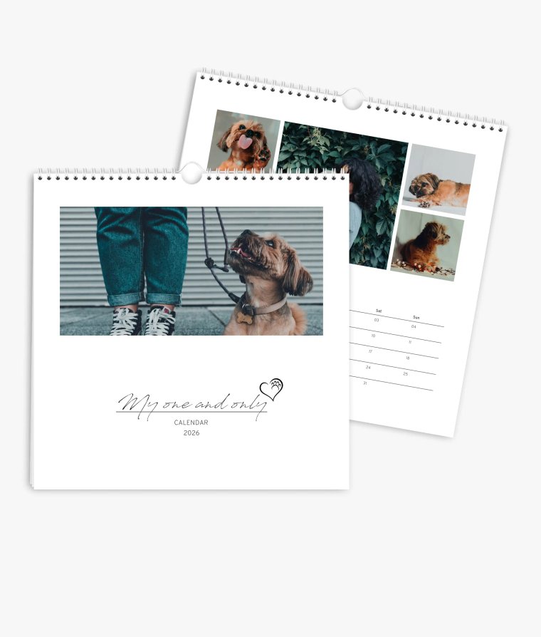 Appointment calendar 4 paws