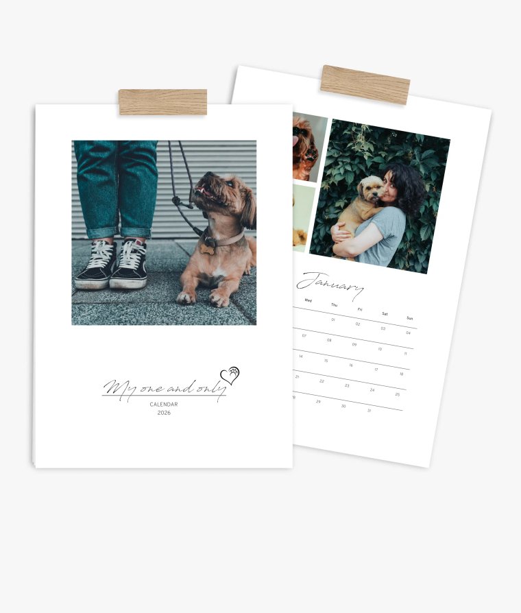 Appointment calendar 4 paws