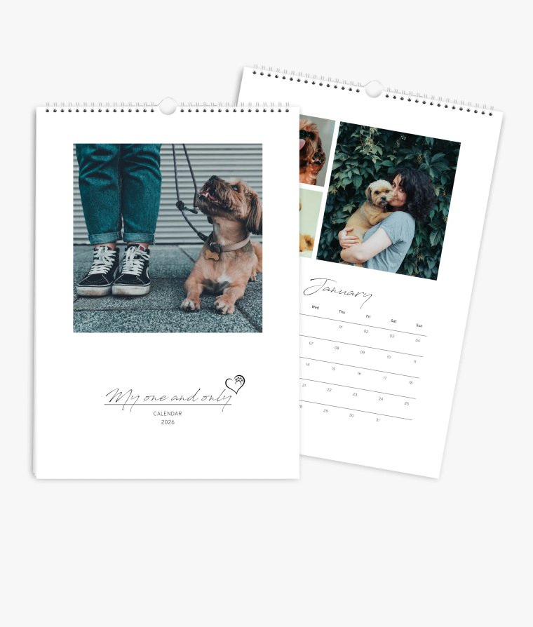 Appointment calendar 4 paws