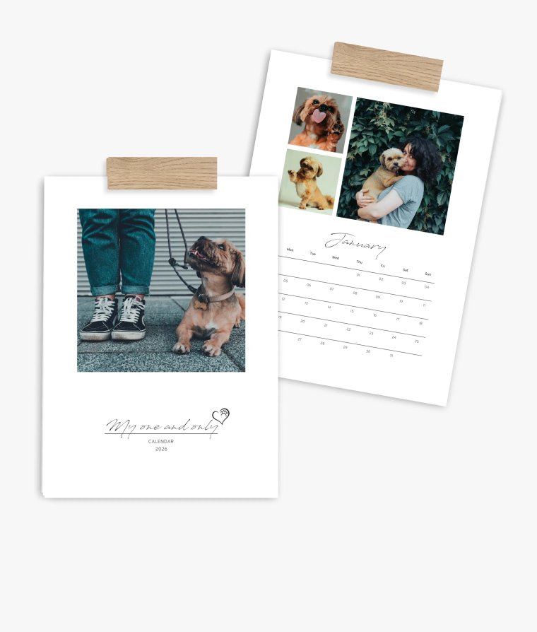 Appointment calendar 4 paws