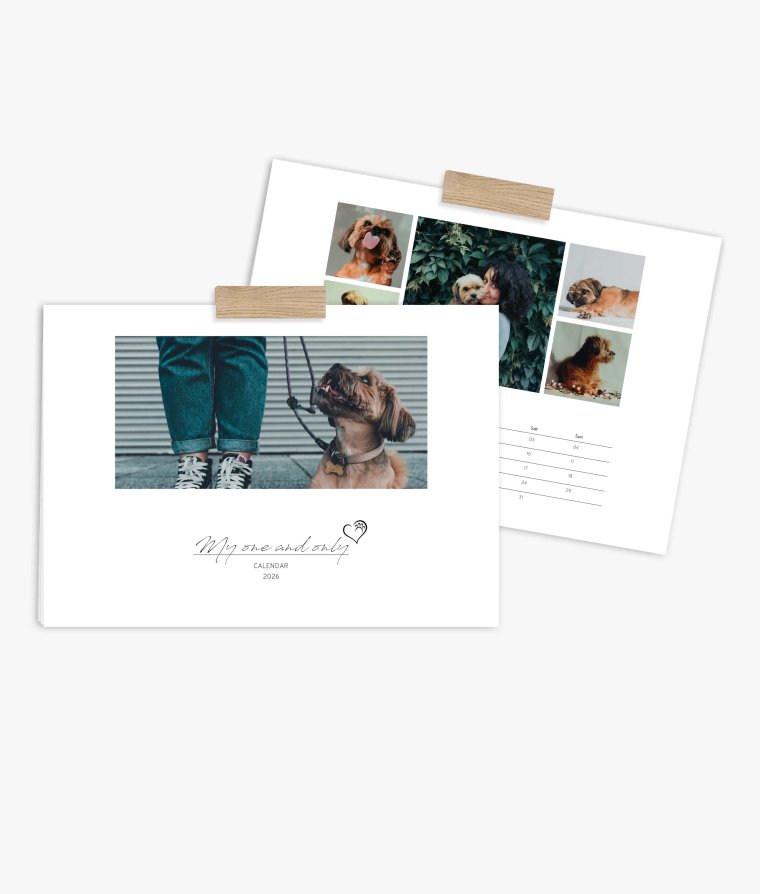 Appointment calendar 4 paws