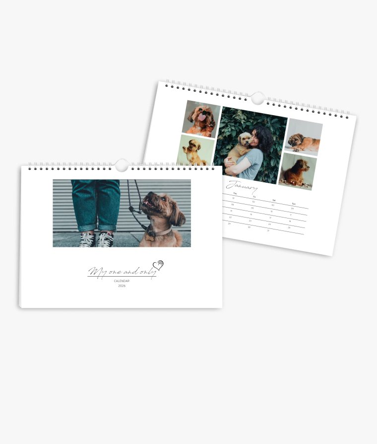 Appointment calendar 4 paws