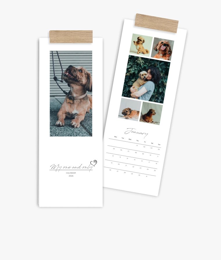 Vertical calendar 4 paws