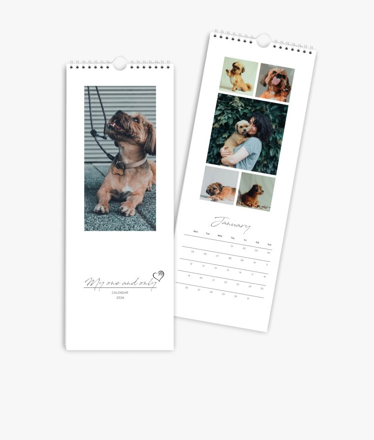 Vertical calendar 4 paws