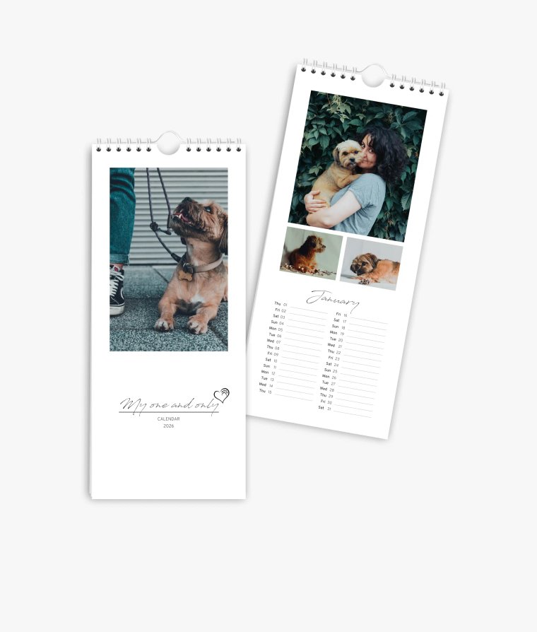 Vertical calendar 4 paws