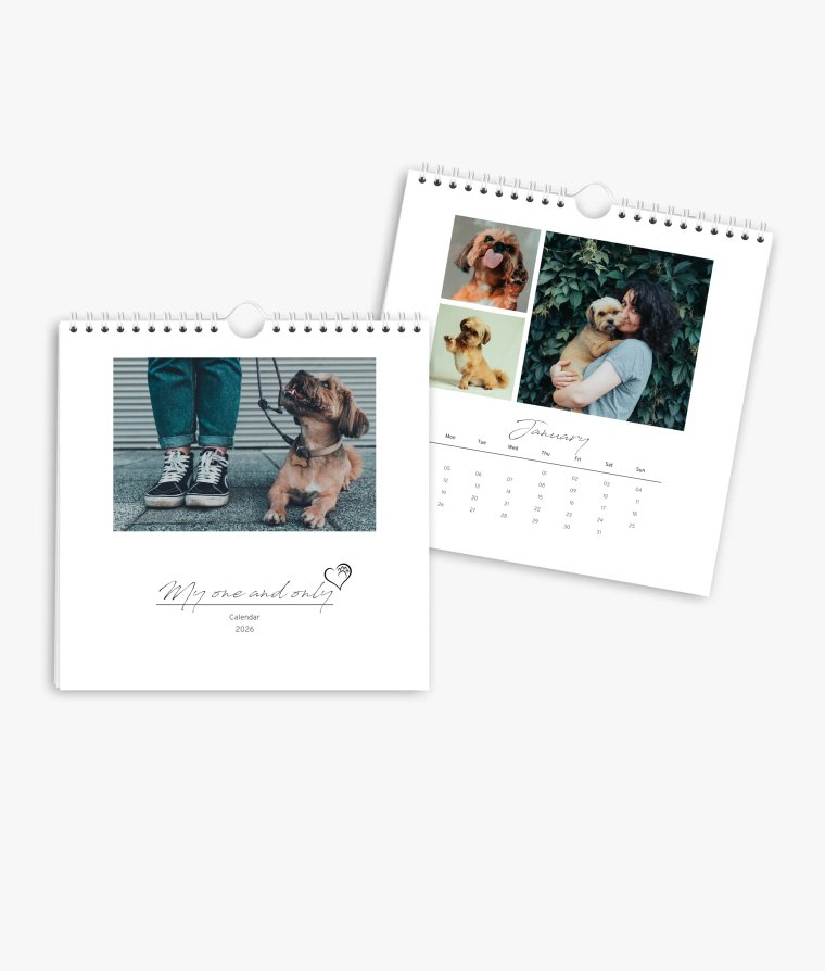 Wall calendar 4 paws