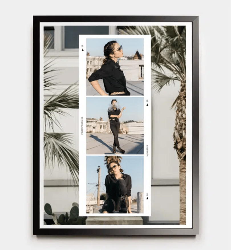 Palm Memories