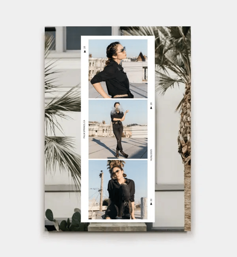 Palm Memories