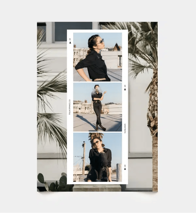Palm Memories