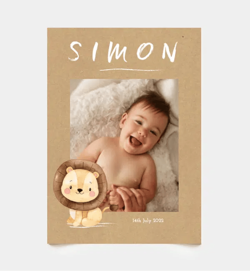 Little Lion