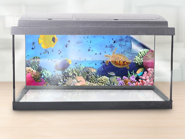 Aquarium background made from adhesive film with a photo of fishes, turtles and the seabed