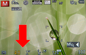 M mode on a camera display, focussing on a blade of grass