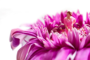 Miniature figure of a woman dressed in pink, standing on a pink flower blossom