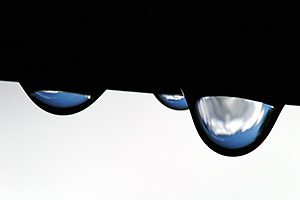 Reflection of clouds in hanging water drops, photographed with a macro camera lens