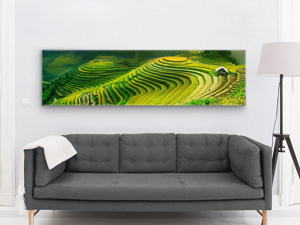 XXL panorama photo showing rice fields hung up above a grey sofa