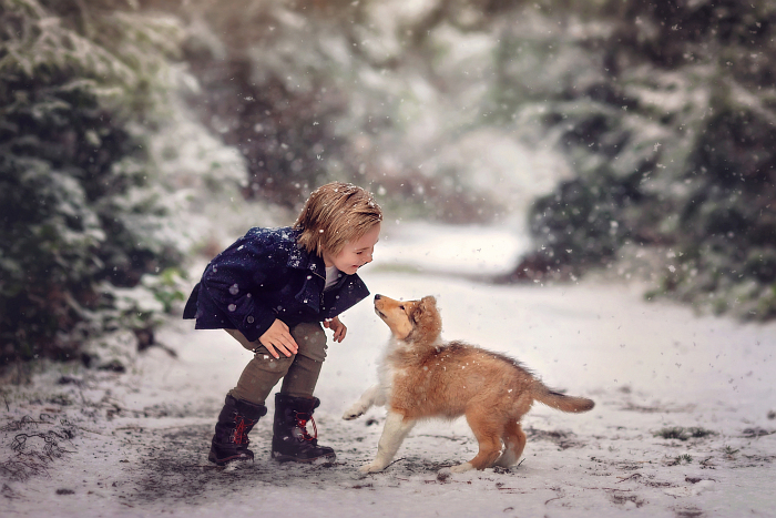 A funny family Christmas photo of a little boy playing with his dog in the snow.